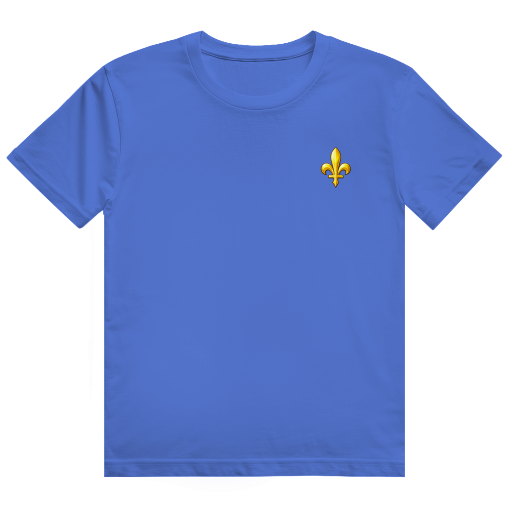 Muška teška pamučna majica - Bosna | Ljiljan