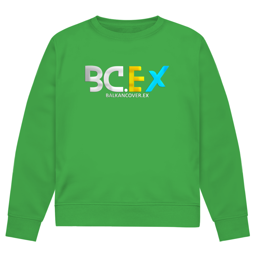 Muška premium organska dukserica BCEX | Prednji print